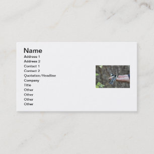 Carte De Visite Deux Chickadees sur une main