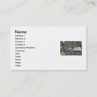 Carte De Visite Deux Chickadees sur une main