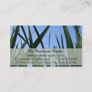 Carte de visite d'herbe