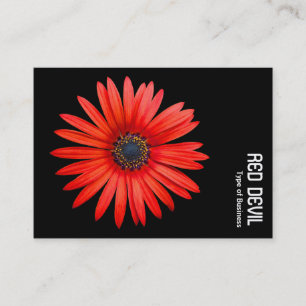 Carte De Visite DIABLE ROUGE - Noir