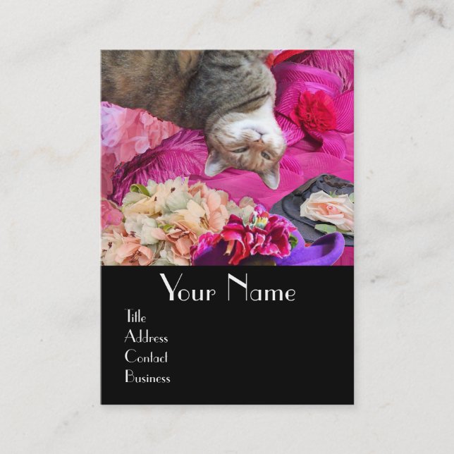 Carte De Visite Dilemma of Princess Tatus Chat / Salon de beauté p (Devant)