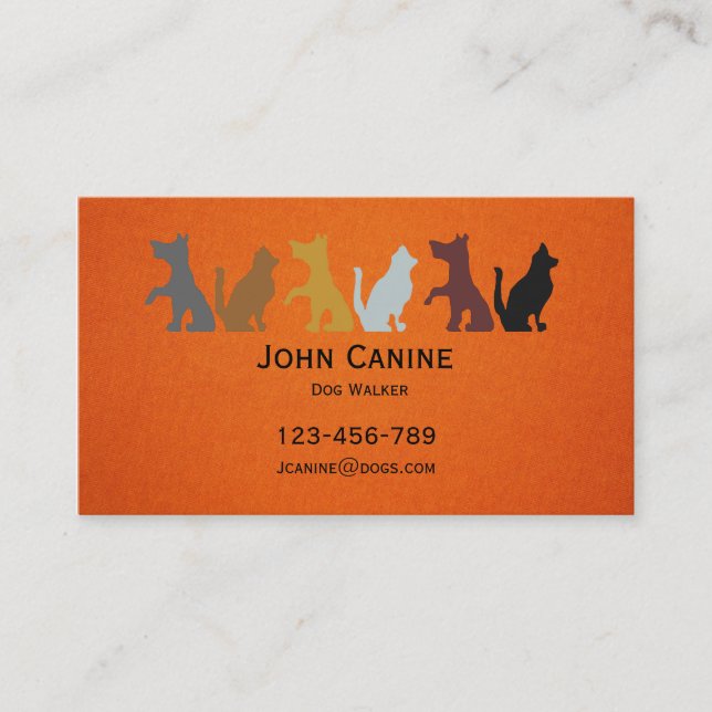 Carte De Visite Dog Walker élégant professionnel moderne (Devant)