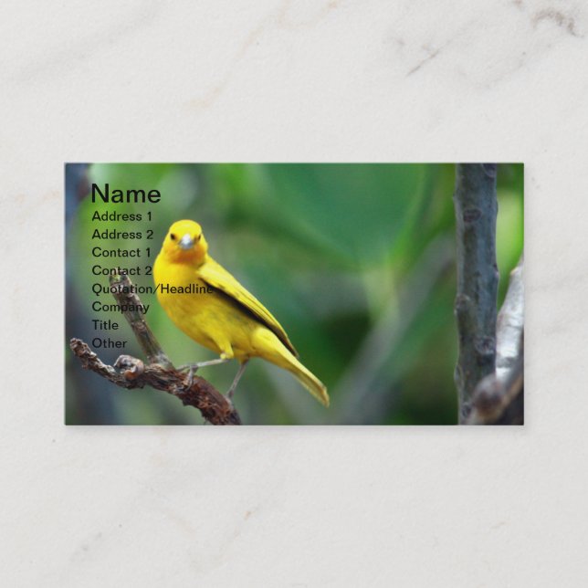 Carte de visite d'oiseaux jaunes (Devant)