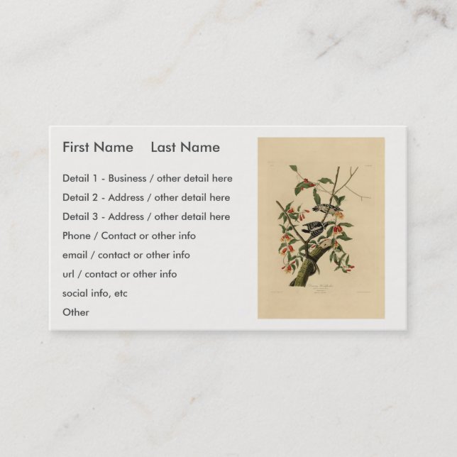 Carte De Visite Downy Woodpecker - de Audubon's Birds of America (Devant)