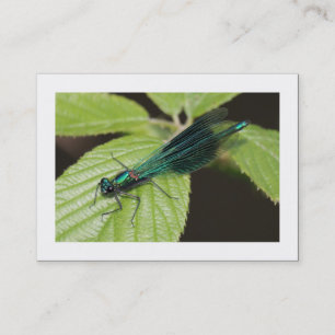 Carte De Visite Dragonfly (Bordé)
