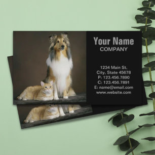 Carte De Visite Drôle BFF meilleurs amis kitty chat étagère