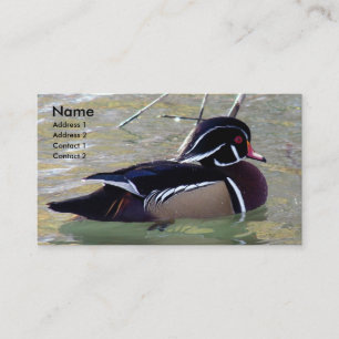 Carte De Visite Duck Drake
