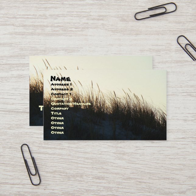 Carte De Visite Dunes à Sundown IBSP NJ Coordonnateurs (Devant/Arrière en situation)