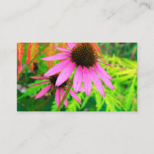 Carte De Visite Échinacée pourpre avec feuillage vert époustouflan