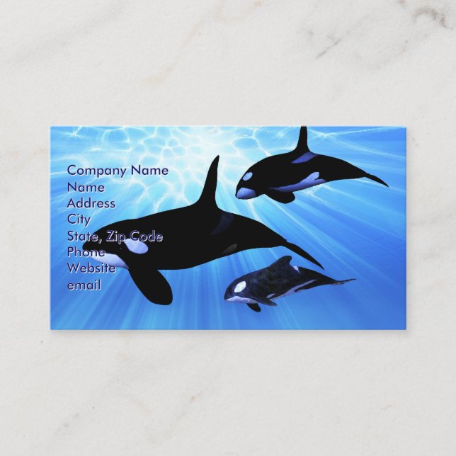 Carte De Visite Echo lumière (Devant)