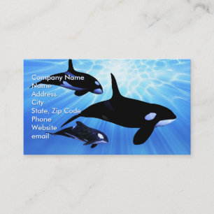 Carte De Visite Echo lumière