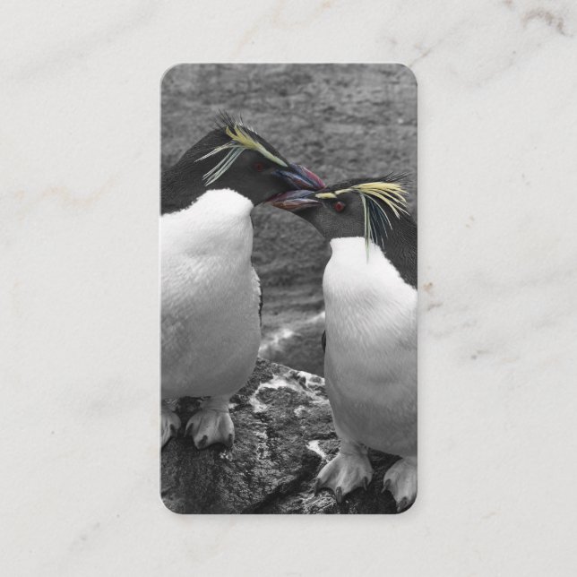 Carte De Visite Éclaboussure de couleur de pingouin (Devant)