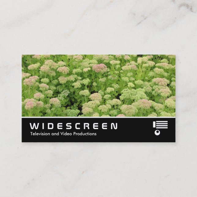 Carte De Visite Écran large 0424 - Sedum (Automne Joy) (Devant)