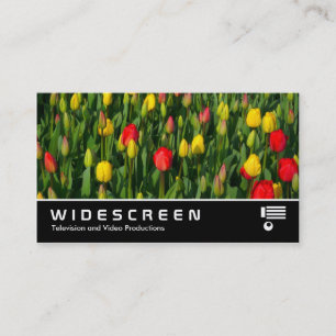 Carte De Visite Écran large 206 - Tulipes colorées