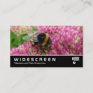 Carte De Visite Écran large 349 - Bumble Bee sur Sedum