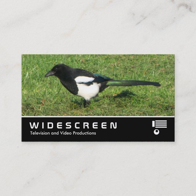 Carte De Visite Écran large 367 - Magpie européenne (Devant)