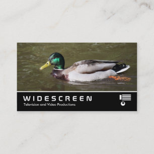 Carte De Visite Écran large 401 - Mallard Duck