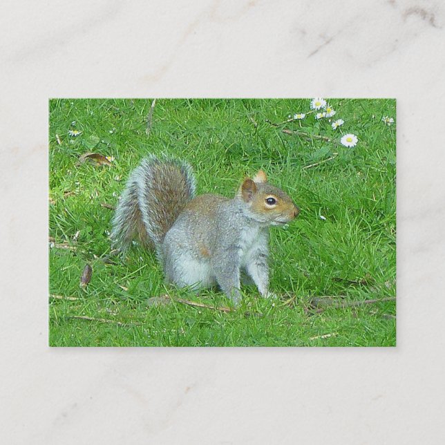 Carte De Visite Écureuil (Devant)