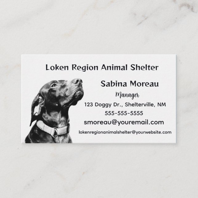 Carte De Visite Editable Animal Shelter (Devant)