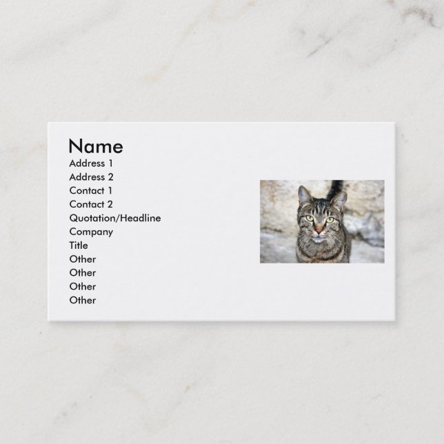 Carte de visite égyptien (Devant)