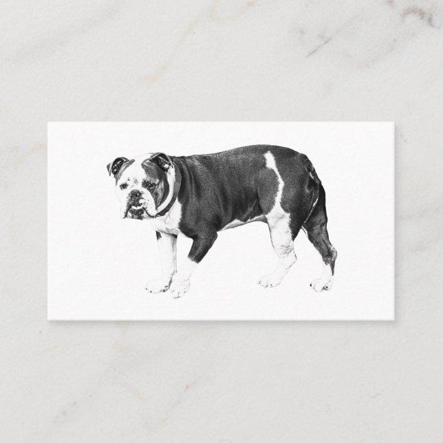 Carte De Visite Élégance Bouledogue, Contact Authentique (Devant)