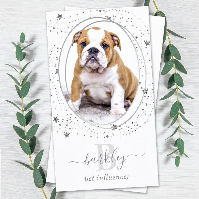 Carte De Visite Elégant Argent Stars Photo Médias sociaux Monogram (Créateur téléchargé)