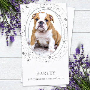 Carte De Visite Élégant Argent Stars Photo personnalisée QR Médias