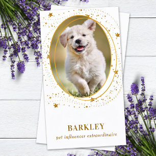 Carte De Visite Elegant Gold Stars Photo personnalisée QR Social M