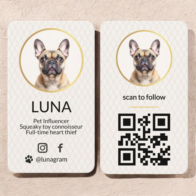 Carte De Visite Elégant Photo Gold Dog Pet Social Media Code QR (Créateur téléchargé)