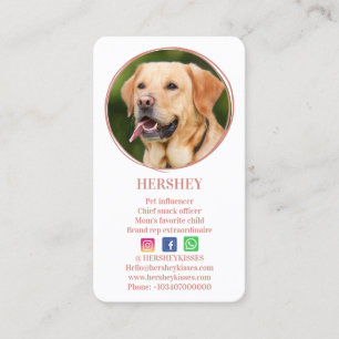Carte De Visite Élégant Rose photo Gold Chien Animal Social Media