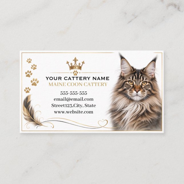 Carte De Visite Élégante Chatterie de Chat Maine Coon de Luxe (Devant)