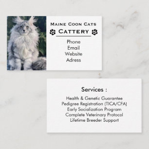 Carte De Visite Élégante Chatterie Maine Coon et Éleveur Professio