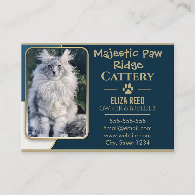 Carte de visite élégante d'élevage de chats Maine  (Devant)
