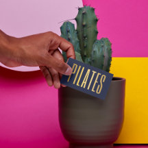 élégants pilates bleu marine et or