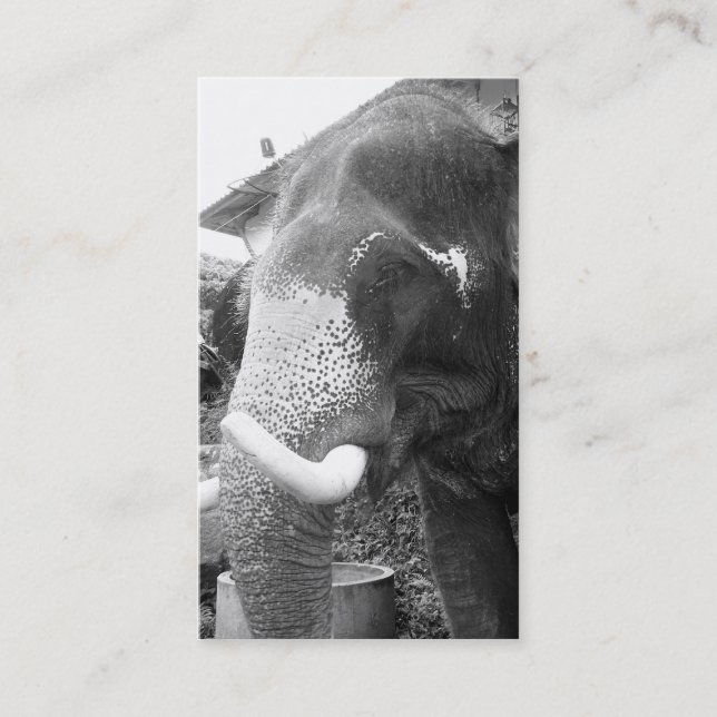 Carte De Visite Éléphant noir et blanc (Devant)