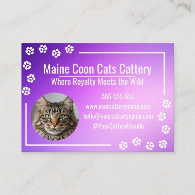 Carte De Visite Élevage de chats Maine Coon moderne dégradé violet (Devant)