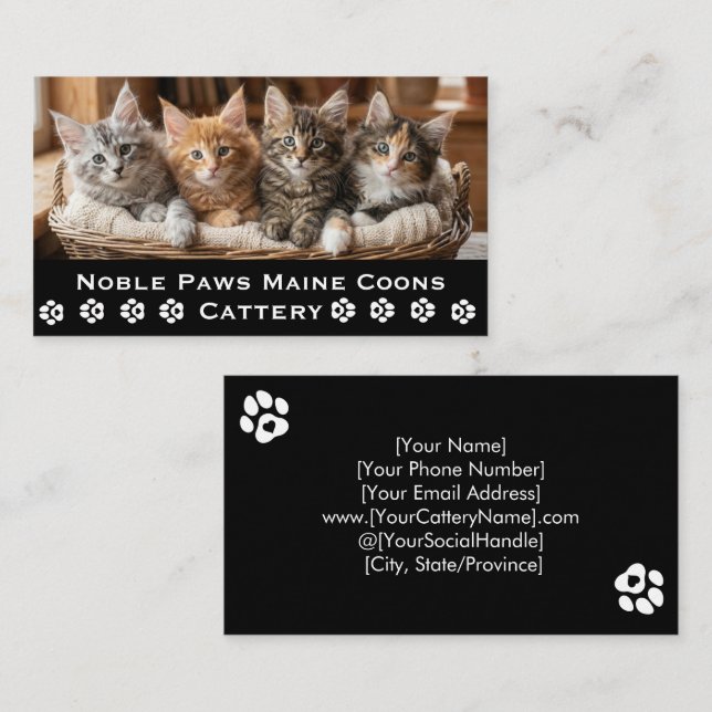 Carte De Visite Élevage de Maine Coon | Éleveur de chats sur mesur (Devant / Derrière)