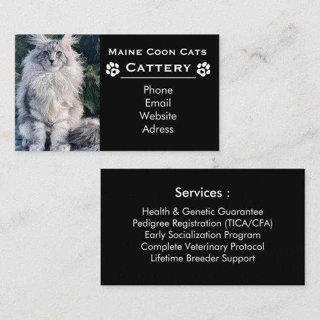 Carte De Visite Élevage de Maine Coon & Éleveur Professionnel Noir (Devant / Derrière)