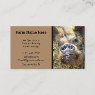 Carte De Visite éleveur de cochons KuneKune