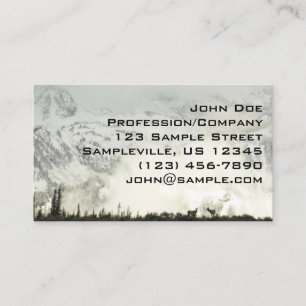 Carte De Visite Elk at Grand Teton National Park Photographie