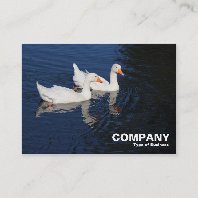 Carte De Visite Emden Geese (Devant)