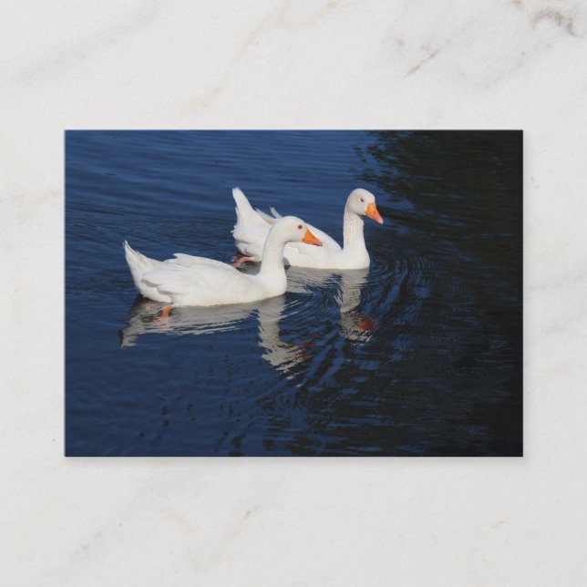 Carte De Visite Emden Geese (Devant)