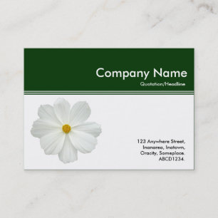 Carte De Visite En-tête de couleur III - Cosmos blanc - Vert foncé