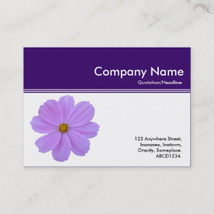 Carte De Visite En-tête de couleur III - Cosmos Violet - Violet fo