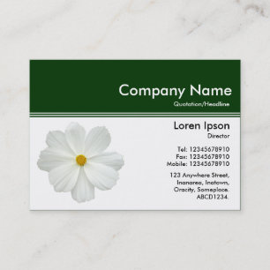 Carte De Visite En-tête de couleur III v2 - Vert foncé - Cosmos bl