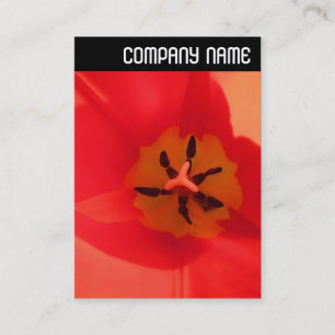 Carte De Visite En-tête V - À l'intérieur d'une tulipe