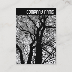 Carte De Visite En-tête V - Arbres à contraste élevé