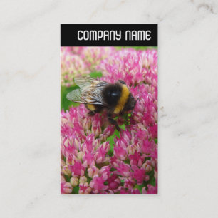 Carte De Visite En-tête V - Bumble Bee Sedum