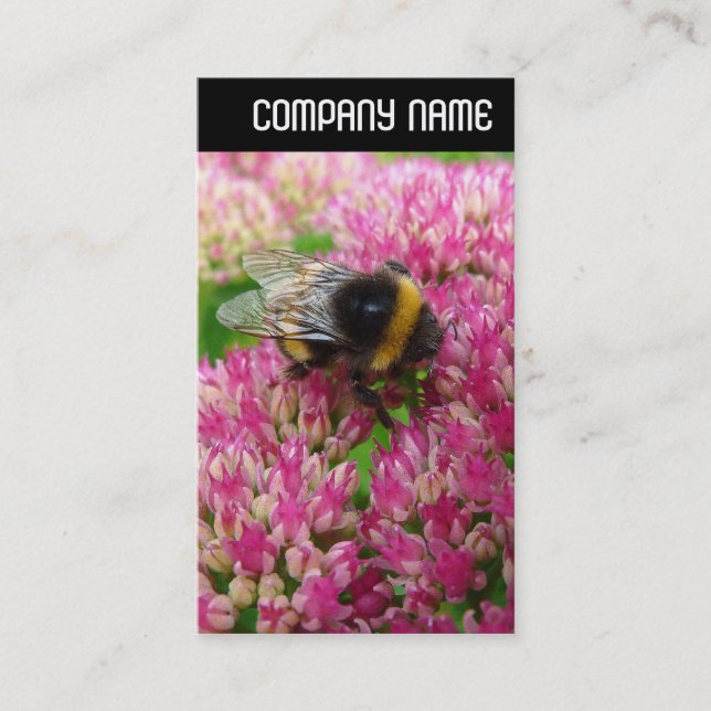 Carte De Visite En-tête V - Bumble Bee Sedum (Devant)