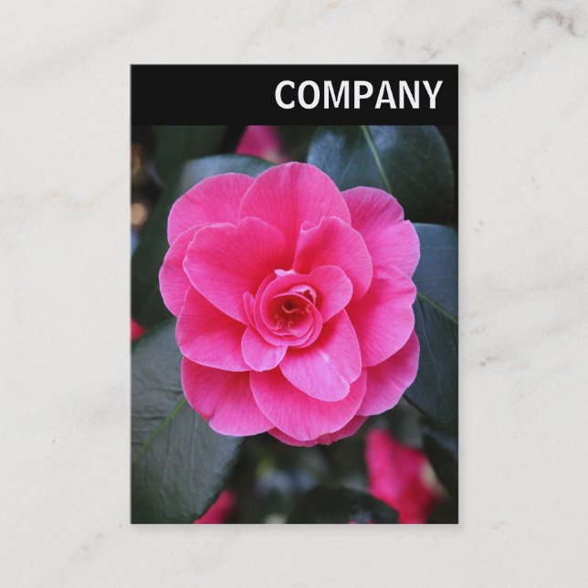 Carte De Visite En-tête V - Camellia rose (Devant)